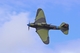 Il-2 Sturmovik belonging to the Flying Heritage Collection museum, Everett,...