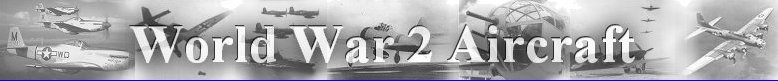World War 2 Aircraft Logo